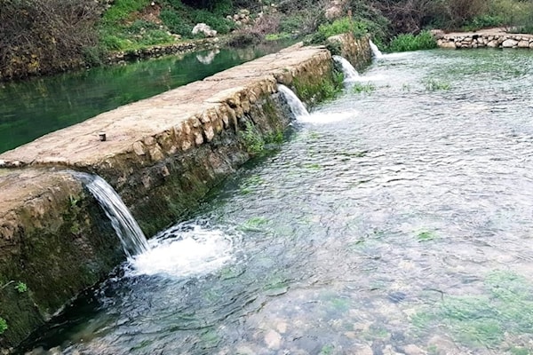 التعدّي مسموح على محميّة الحجير؟