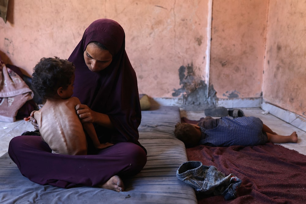 حذّرت أكثر من مئة منظمة غير حكومية من خطر تفشّي &laquo;مجاعة جماعية&raquo; في غزة (أ ف ب)