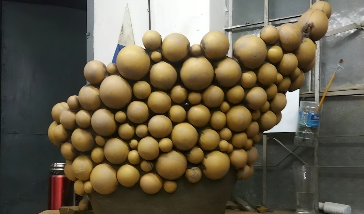 «نوّرت » في بيروت