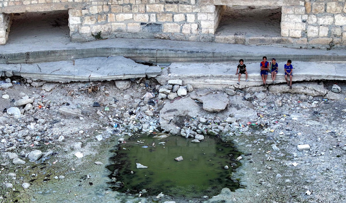 جميع المحاصيل الزراعية تضرّرت بشكل كبير من كارثة الجفاف (أ ف ب)