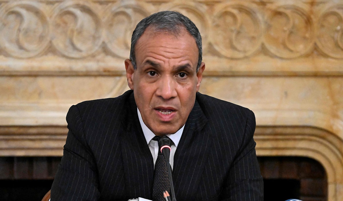 وزير الخارجية المصري بدر عبدالعاطي (أ ف ب)