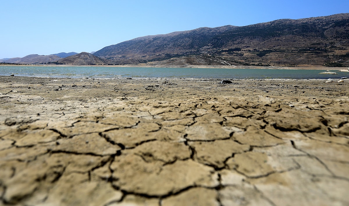 (هيثم الموسوي)