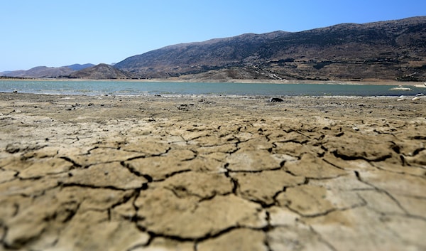 (هيثم الموسوي)