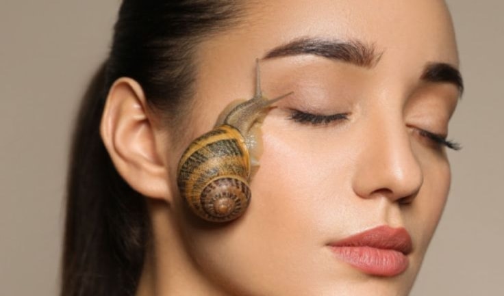 في السنوات الأخيرة، برز المخاط الحلزوني كأحد أبرز المكوّنات في عالم العناية بالبشرة