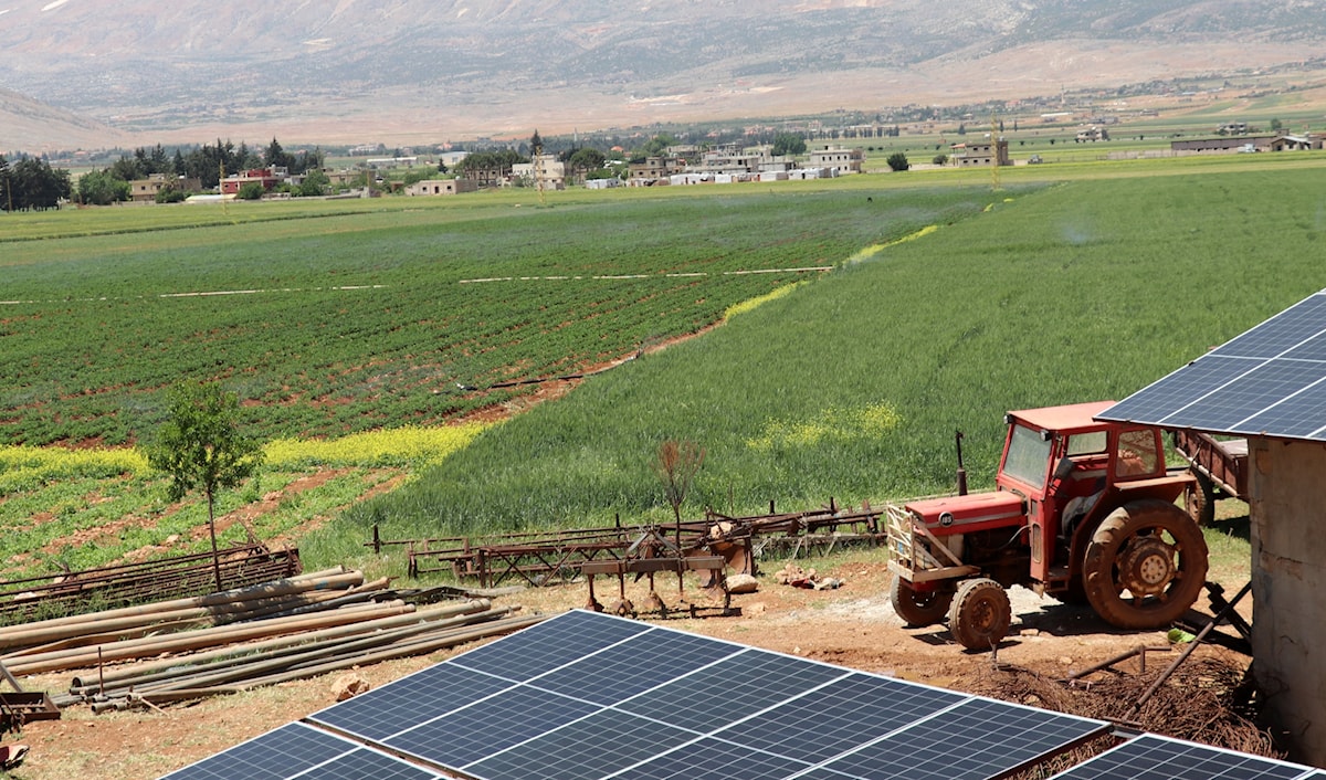 اعتبر الترشيشي أنّنا نعيش أسوأ أزمة زراعية في تاريخ لبنان (الأخبار)
