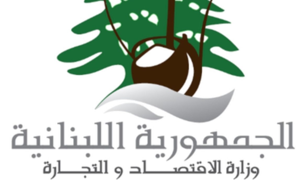 طلب الوزير البساط من لجنة مراقبة هيئات الضمان المباشرة الفورية بتنفيذ هذه الإجراءات (من الويب)