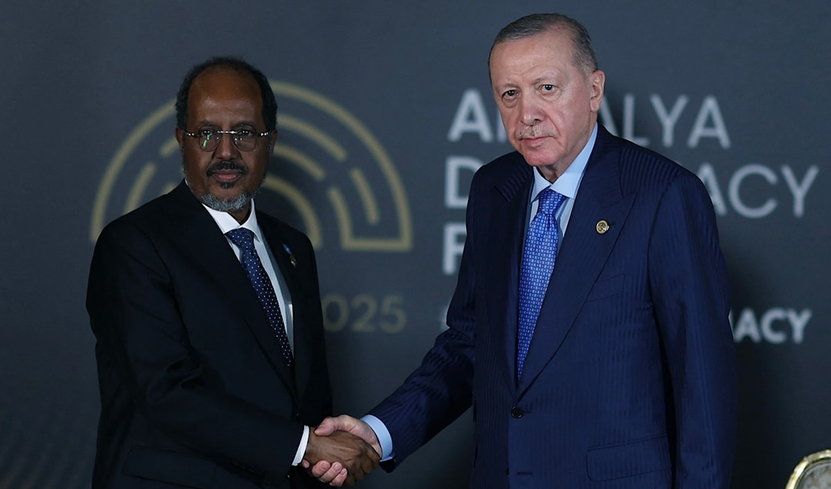 يرتبط التوجّه الصومالي بمصالح الدول في تأمين سلامة الطرق البحرية الرئيسة في البحر الأحمر وخليج عدن (أ ف ب)