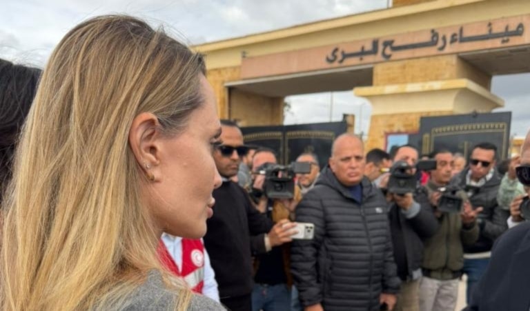 استقبلت السلطات المصرية جولي.