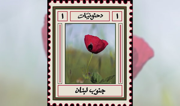 شقائقُ النعمان تُزهر في الجنوب