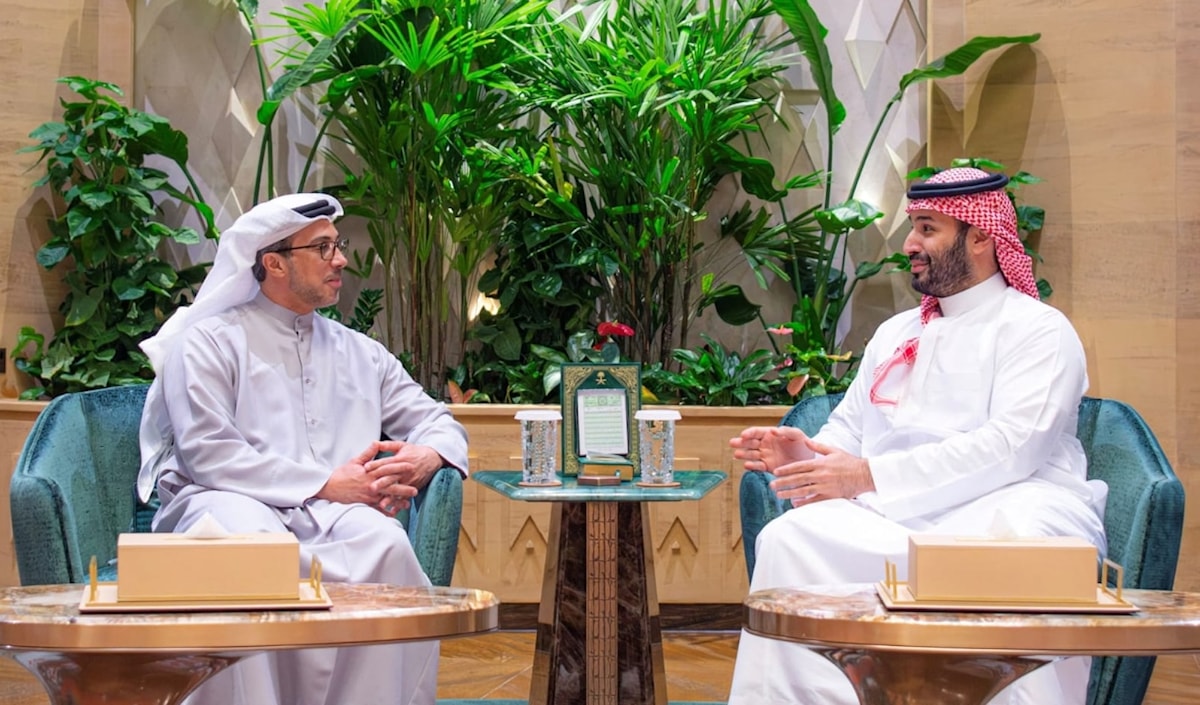 زيارة منصور بن زايد للرياض لم تفلح في إحياء التحالف السعودي - الإماراتي (من الويب)