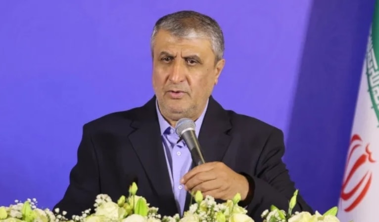 رئيس منظمة الطاقة الذرية الإيرانية محمد إسلامي (أ ف ب)