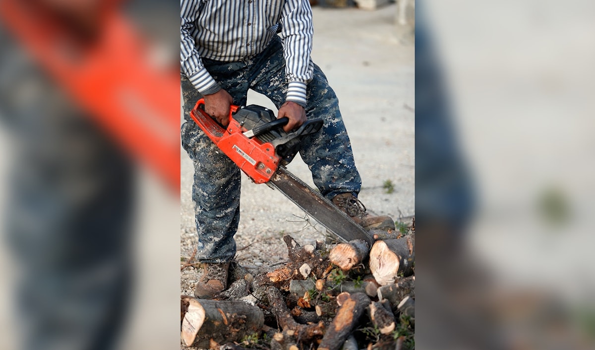 أعمال تحطيب في منطقة البقاع (هيثم الموسوي)