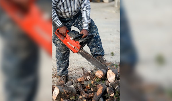 أعمال تحطيب في منطقة البقاع (هيثم الموسوي)