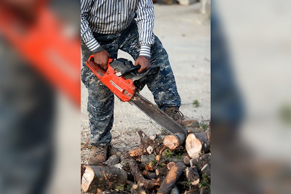 أعمال تحطيب في منطقة البقاع (هيثم الموسوي)