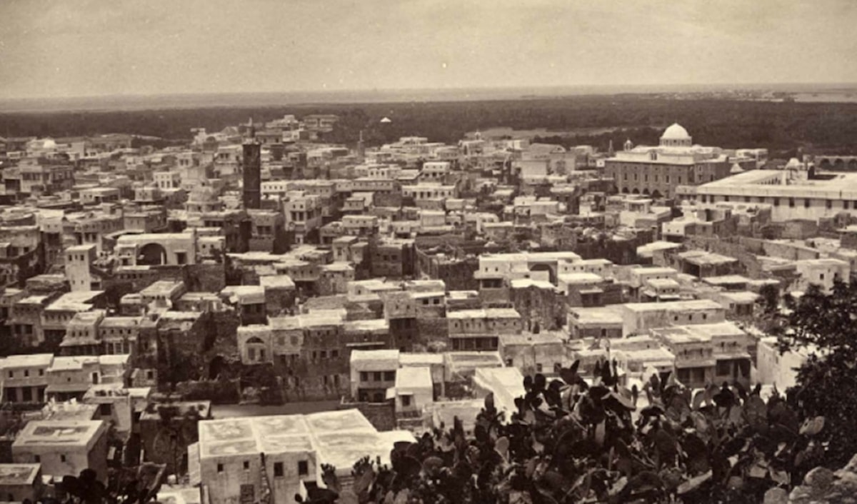 بدر الحاج يعود إلى طرابلس الشام: مرثية لـ«جوهرة» الساحل السوري