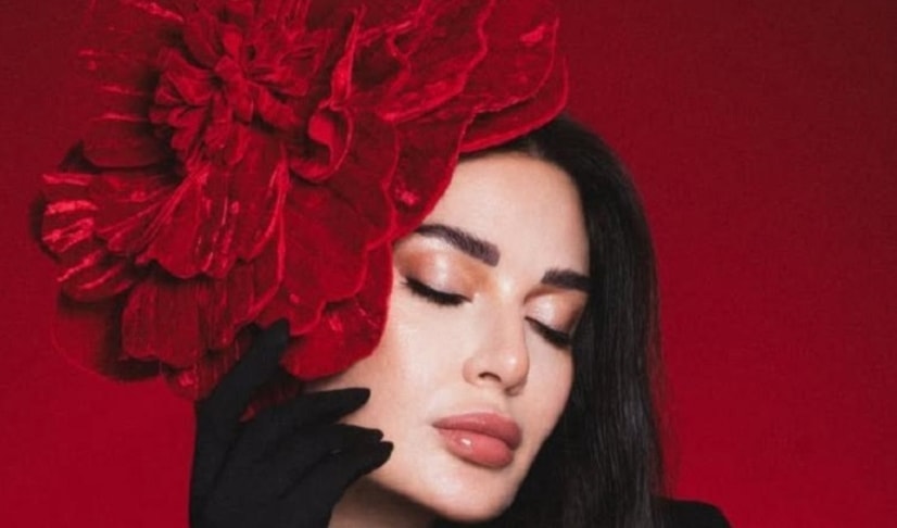 تلعب سيرين عبدالنور بطولة المسلسل المشترك
