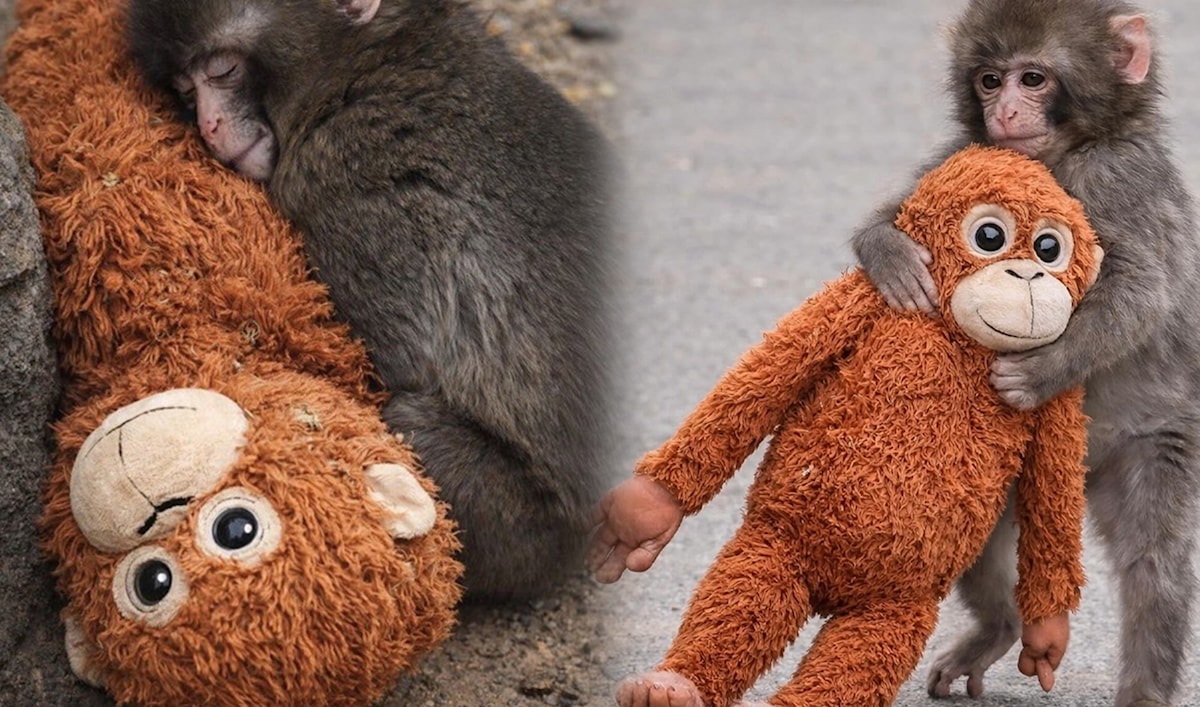 الظاهر أننا جميعاً مثل «بانش»: يتامى