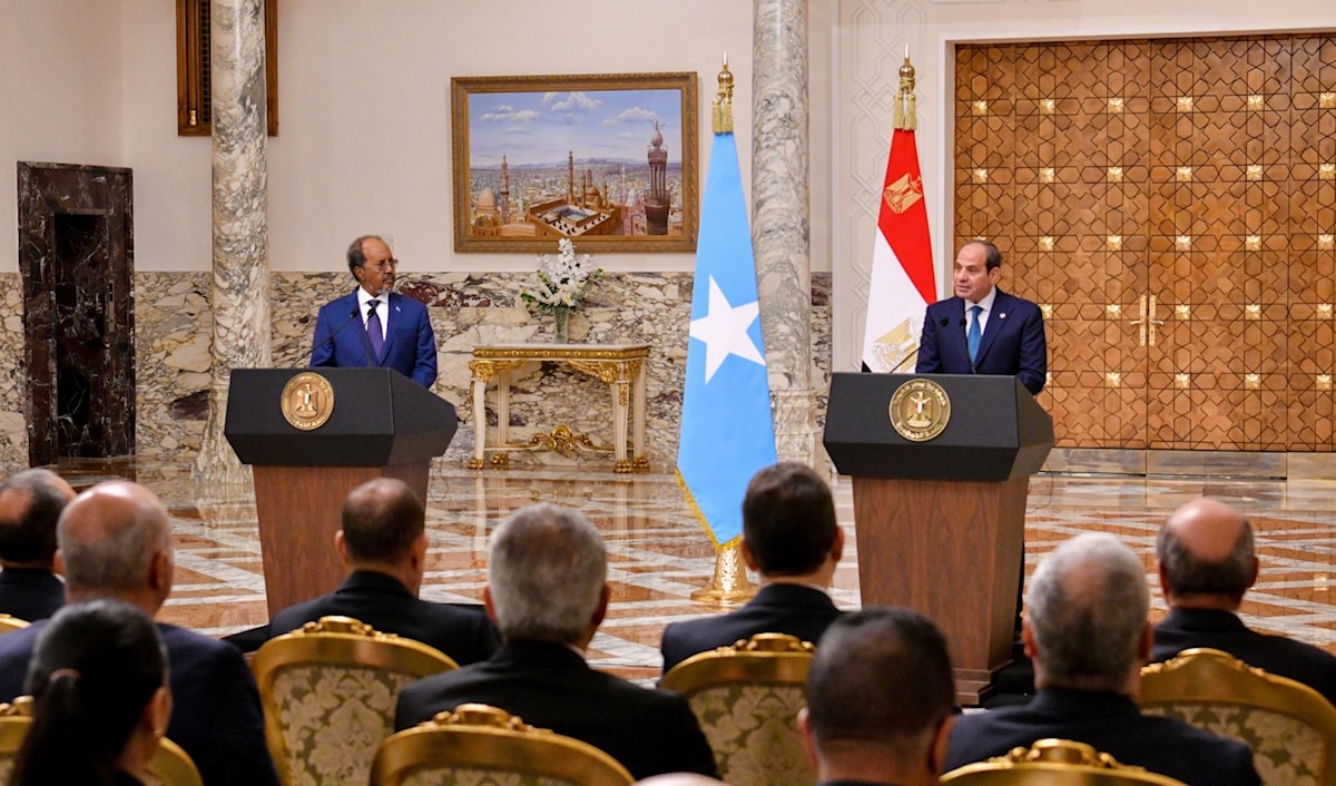 أكد السيسي استعداد مصر لمشاركة خبراتها في مكافحة الإرهاب مع الصومال (من الويب)