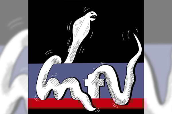 (نهاد علم الدين)