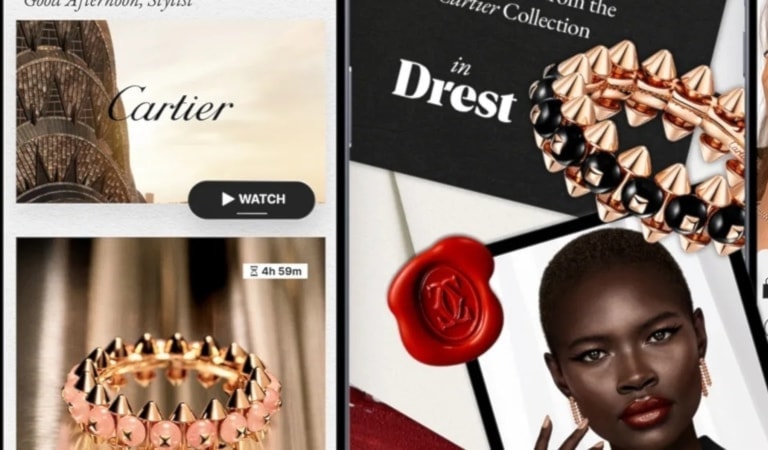 تهدف اللعبة إلى تمكين المستخدمين من «اكتشاف واستكشاف وتنسيق» المجوهرات بأسلوب تفاعلي