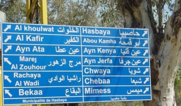 أكدت البلدية وقوفها خلف الجيش والقوى الأمنيّة في ضبط الأمن (من الويب)