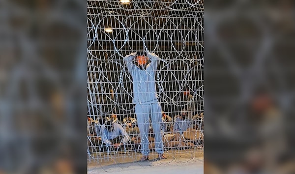 غالباً ما أدّت سياسات القتل أو العقوبات القصوى إلى نتائج عكسية (من الويب)