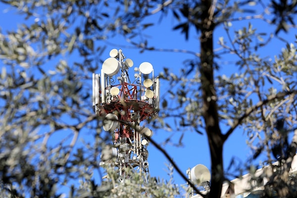 (هيثم الموسوي)