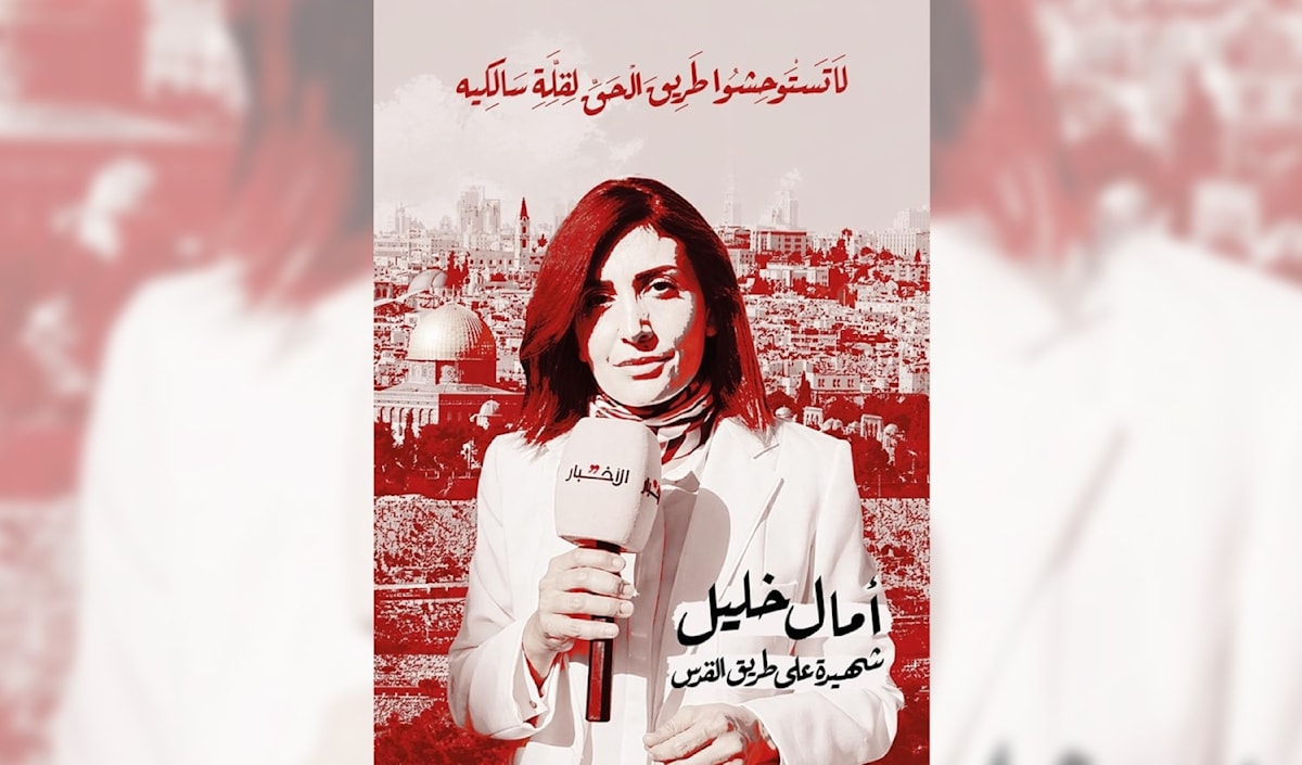 (أحمد مفيد)