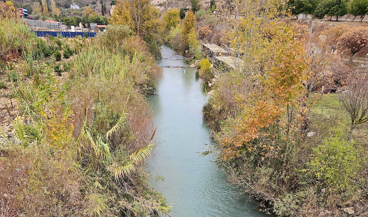 يتعلم الطفل الجنوبي أن على الإنسانِ أن يحفظَ أسماءَ أحبّتهِ لأنّ الحربَ تحول الناسِ إلى صور (الأخبار)