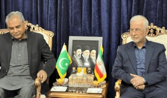 وصل وزير الداخلية الباكستاني إلى طهران (من الويب)