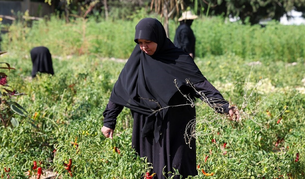 نساء الجنوب يروين الذاكرة المنسيّة