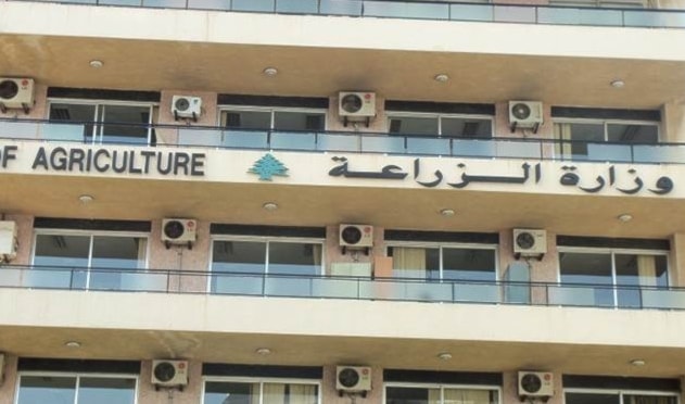 طالبت الوزارة باتخاذ الإجراءات القانونية اللازمة بحق المخالفين (من الويب)