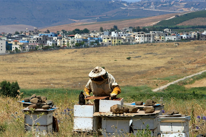 نحال في قرية الغجر اللبنانية المحتلة (علي حشيشو)