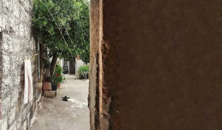 بيت الجنوب