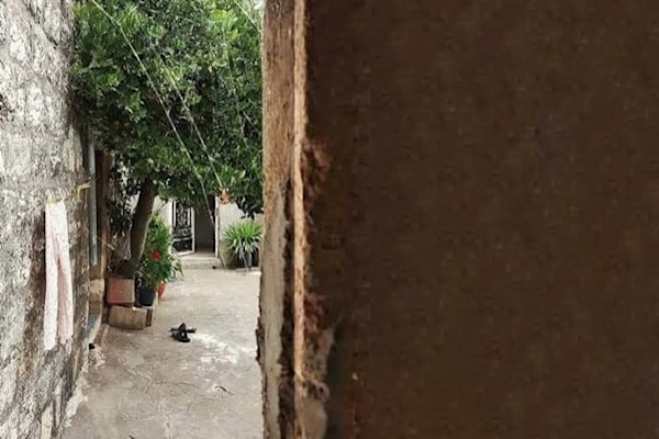 بيت الجنوب