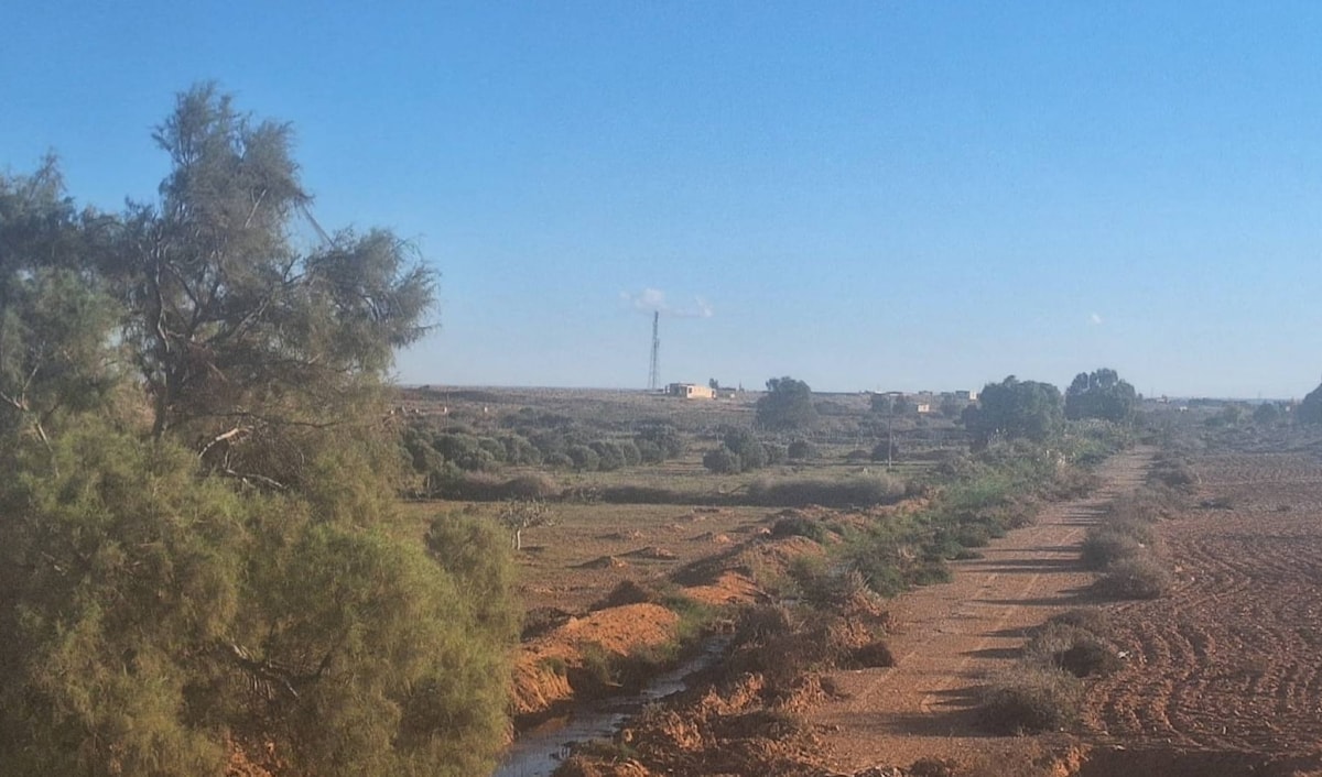 التعويض عن الفدان الزراعي استقرّ عند نحو 300 ألف جنيه (من الويب)
