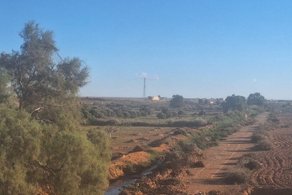 التعويض عن الفدان الزراعي استقرّ عند نحو 300 ألف جنيه (من الويب)