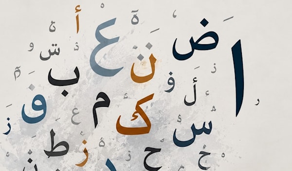 من يحمي اللغة العربية؟