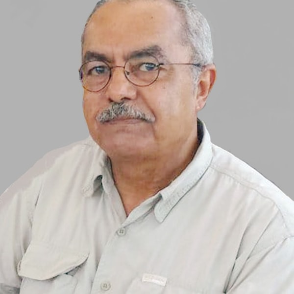 علاء اللامي
