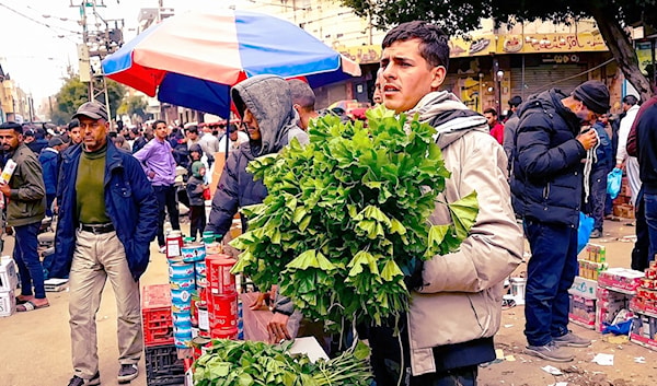 شباب عاطلون يلجأون إلى جمع وبيع الخُبَّيزة بسبب الظروف الصعبة في غزة (متداوَلة على وسائط التواصل الاجتماعي)