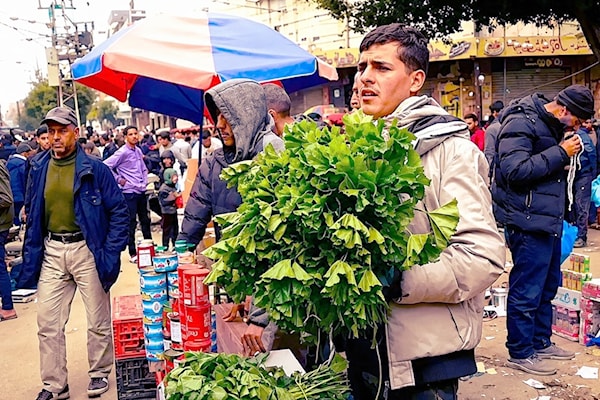 شباب عاطلون يلجأون إلى جمع وبيع الخُبَّيزة بسبب الظروف الصعبة في غزة (متداوَلة على وسائط التواصل الاجتماعي)