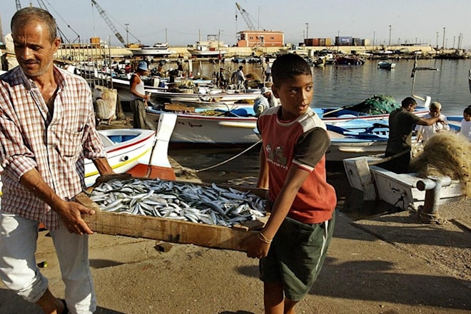 دعا المجتمعون إلى صياغة قانون يوازن بين حماية الثروة البحرية ومصدر رزق آلاف العائلات (من الويب)