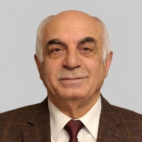 محمد نور الدين