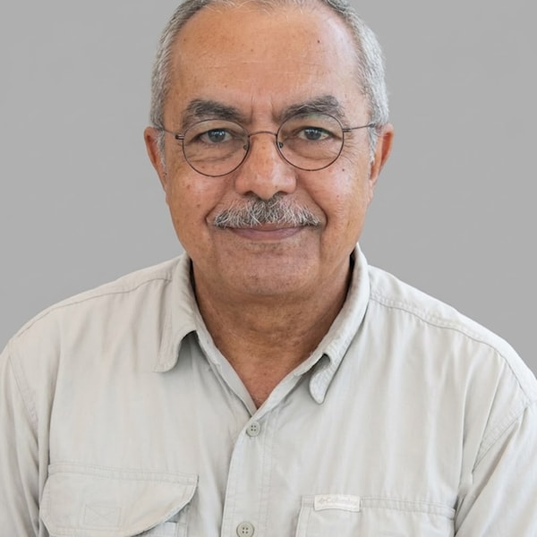 علاء اللامي