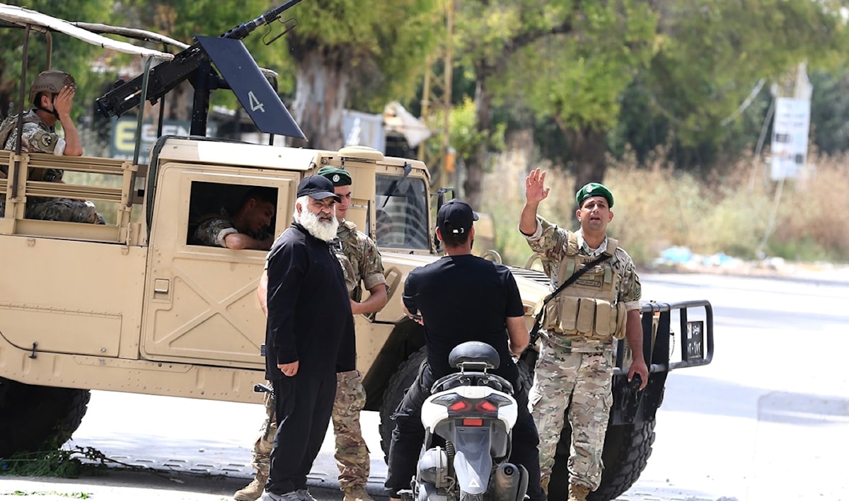 (علي حشيشو)
