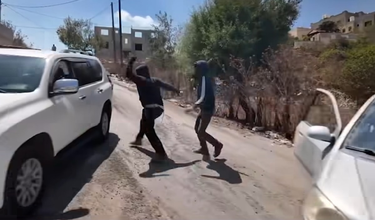 لا تعليق